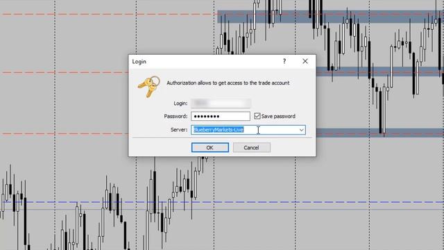 How To Login to a Blueberry Markets Trading Account Using MetaTrader/MT4/MT5 Desktop смотреть онлайн