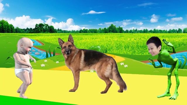 картинки домашних животных для детей - животные для детей изучение | BonBi TV смотреть онлайн