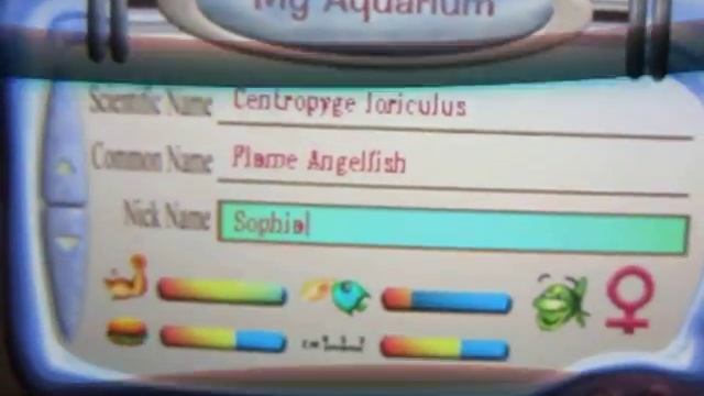 My Sim Aquarium Tutorial смотреть онлайн