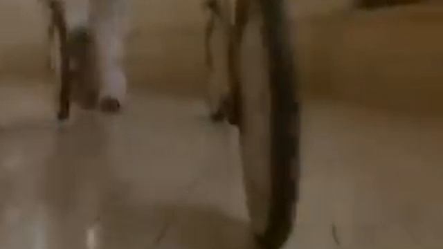 Jacob's Ladder His Hell смотреть онлайн