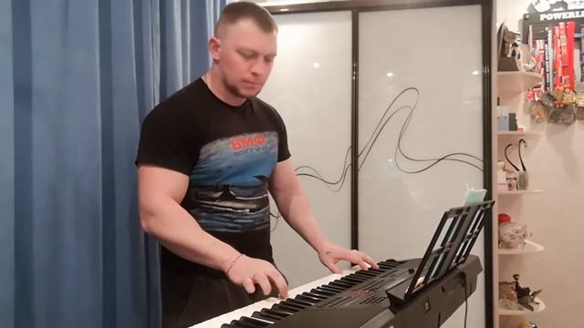 РОК-ОСТРОВА "СТЕЖКИ". CASIO CT-X3000. смотреть онлайн