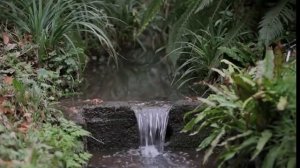 Презентация "Зима не даром злится"