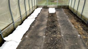 ???? ДЕЗИНФЕКЦИЯ ТЕПЛИЦЫ И ПОЧВЫ. ФАРМАЙОД