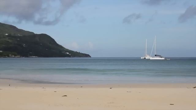 Habitat 4 - Sandy Beach