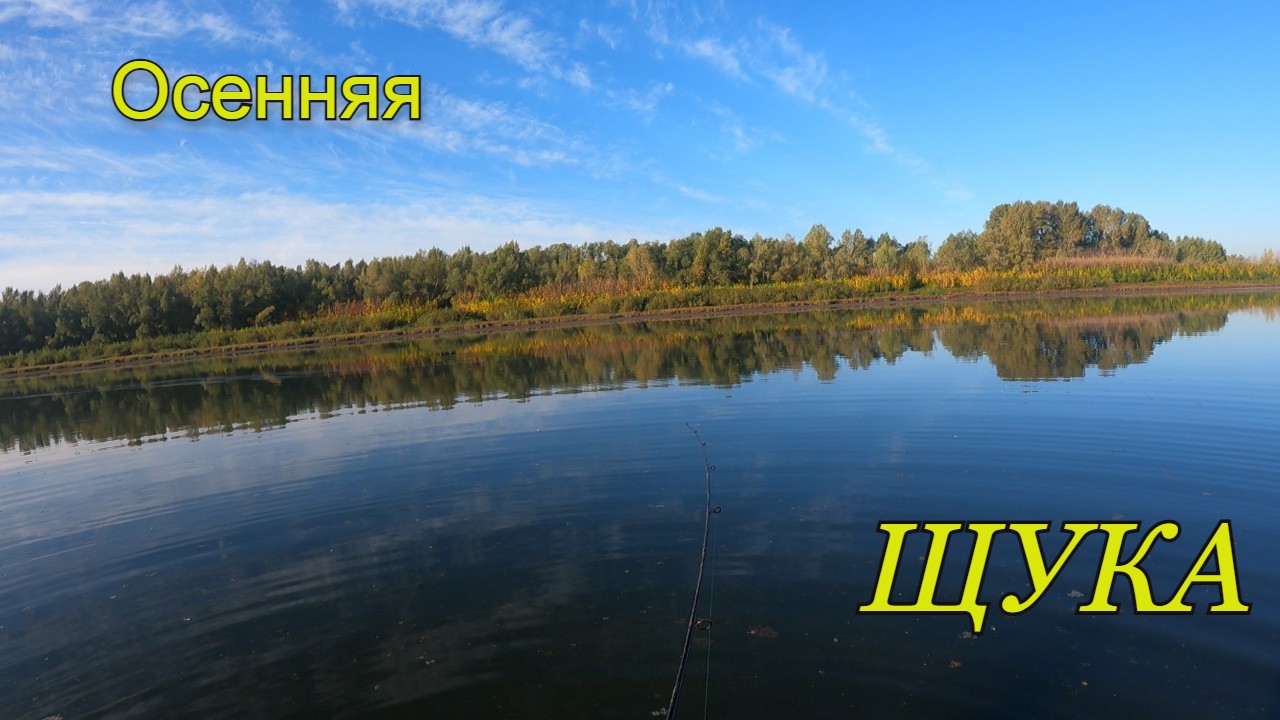 Осенняя рыбалка на щуку.Щука бросается на все приманки. смотреть онлайн