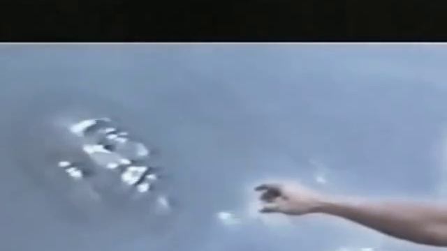 Запрещенные и замалчиваемые знания. Неволина Н.А. смотреть онлайн