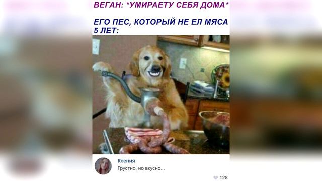 ЛЮТЫЕ ПРИКОЛЫ и МЕМЫ. ГРУСТНО, НО ВКУСНО смотреть онлайн