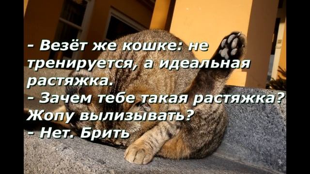 Анекдот юмор приколы Зачем нужна растяжка смотреть онлайн