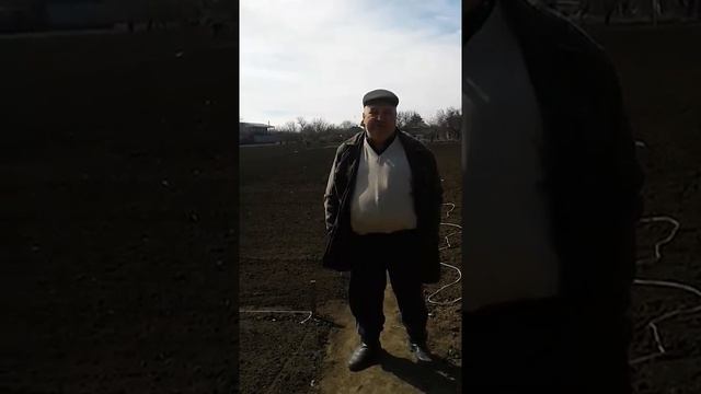 Подготовка земли к посадке картошки. смотреть онлайн