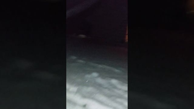 жизнь в Шуе. часть 3