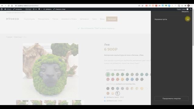 Вариативный Интернет-Магазин для Компании «Radeco» смотреть онлайн