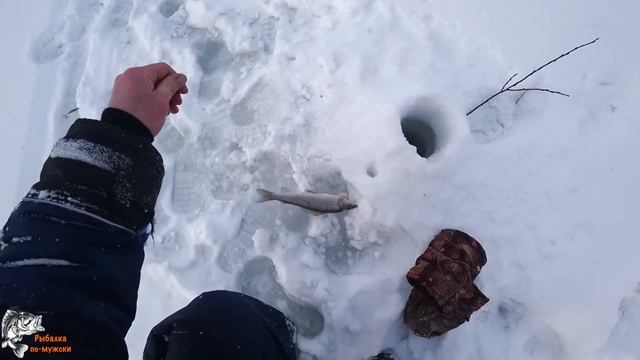 Как мы на льду жили/Клюёт крупняк/3 дня, рыбалка на Хариуса/Ловля и клёв рыбы.