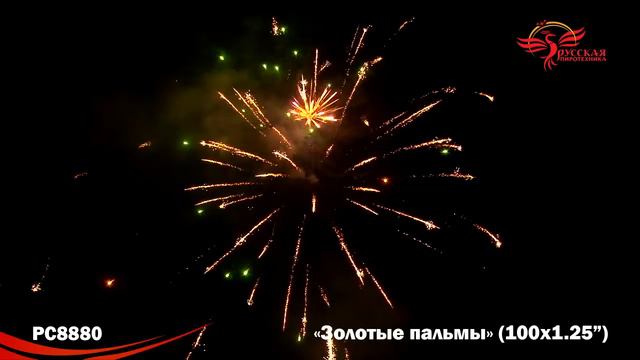 РС8880 Золотые пальмы смотреть онлайн