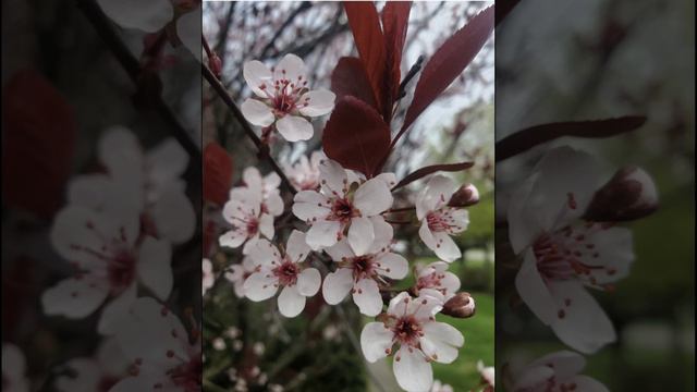 Скажи до Господа, скажи. Христианская песня смотреть онлайн