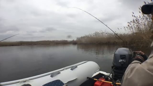 Микроджиг. р.Сула 2016. Плотва. Лещ. Жерех. смотреть онлайн