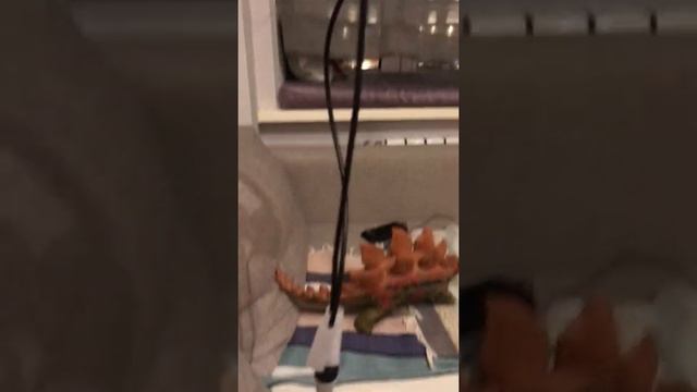 Отзыв на аудиофильский плеер Sony nw-zx 507 и наушники к нему sony mdr-z7m2. Первый опыт! смотреть онлайн