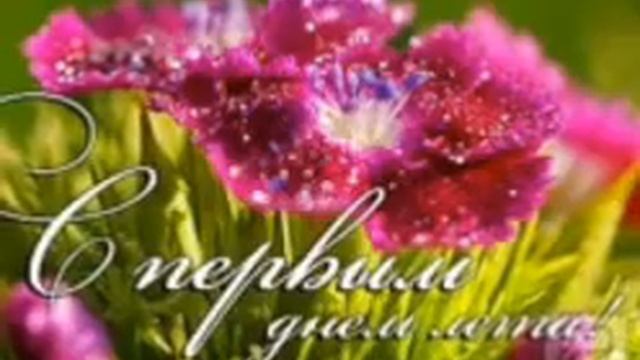 ☀️С первым днём лета !!!? смотреть онлайн