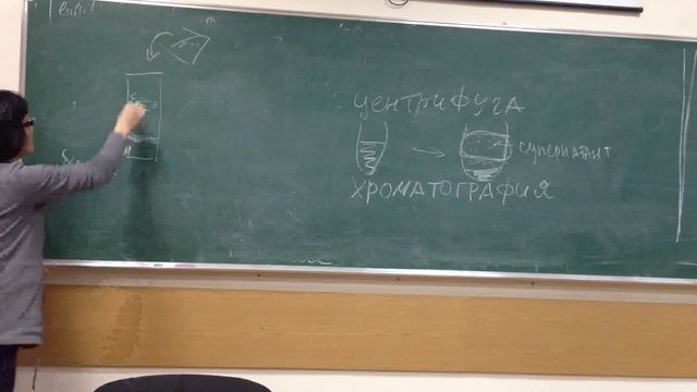 Молекулярная биология - Лекция 9 - 3 из 3 смотреть онлайн