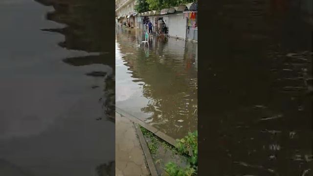 Витязево 26.06.2021 смотреть онлайн