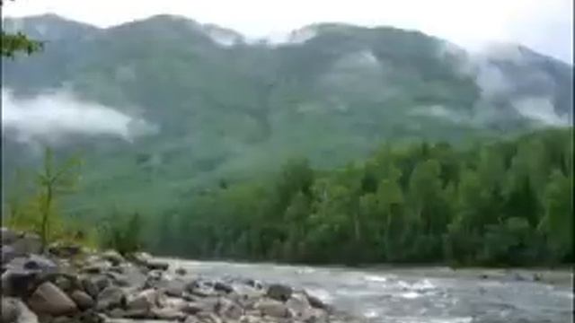 Хищники Колымы смотреть онлайн