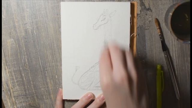 Мастер-класс по рисованию животных "Нарисуй меня" смотреть онлайн