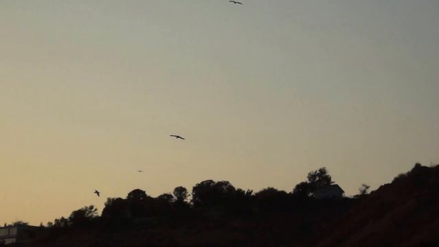 Последний день лета смотреть онлайн