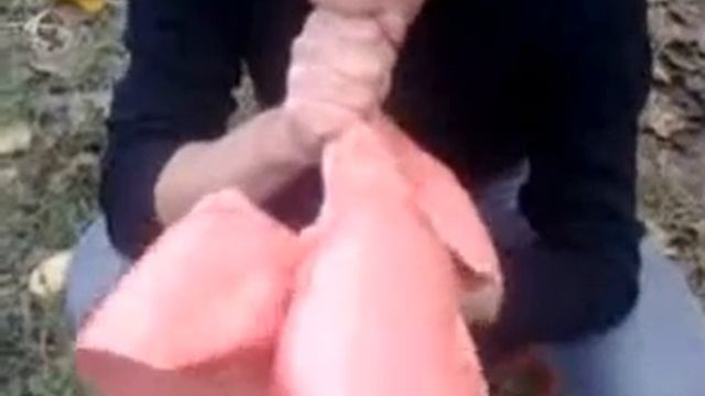 Вот как выглядит легкие при вздохе смотреть онлайн
