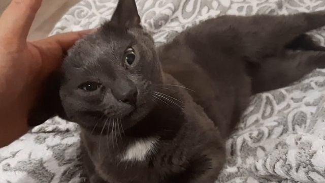 Горизонтальные положения 24.10.2022 смотреть онлайн