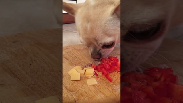 Мукбанг ☺️ мясо 🥩 сыр 🧀 и перец 🫑 смотреть онлайн