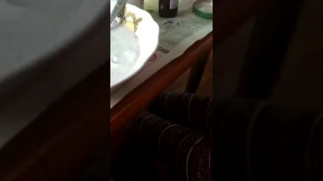 Слайм:Dove гель-крем.шампунь ONE CARE. Palmolive Men. Всё на глаз. Вода . ростворсодавода. Клейлуч смотреть онлайн