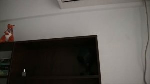 Как живут иностранные студенты в Китае | Общежитие ZSTU