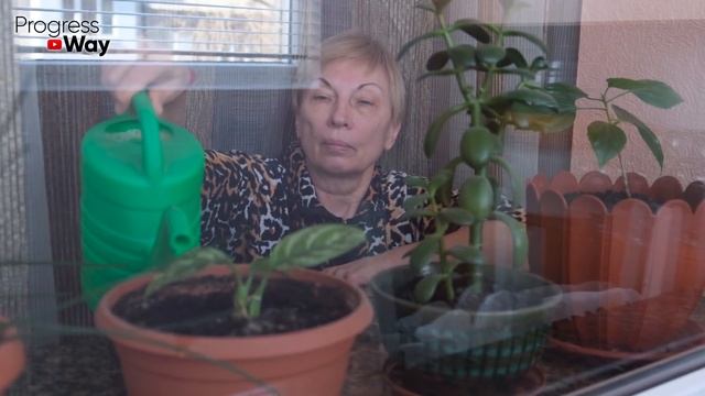 Денежное Дерево Цветёт Постоянно И Приносит Удачу После Такой Подкормки! смотреть онлайн
