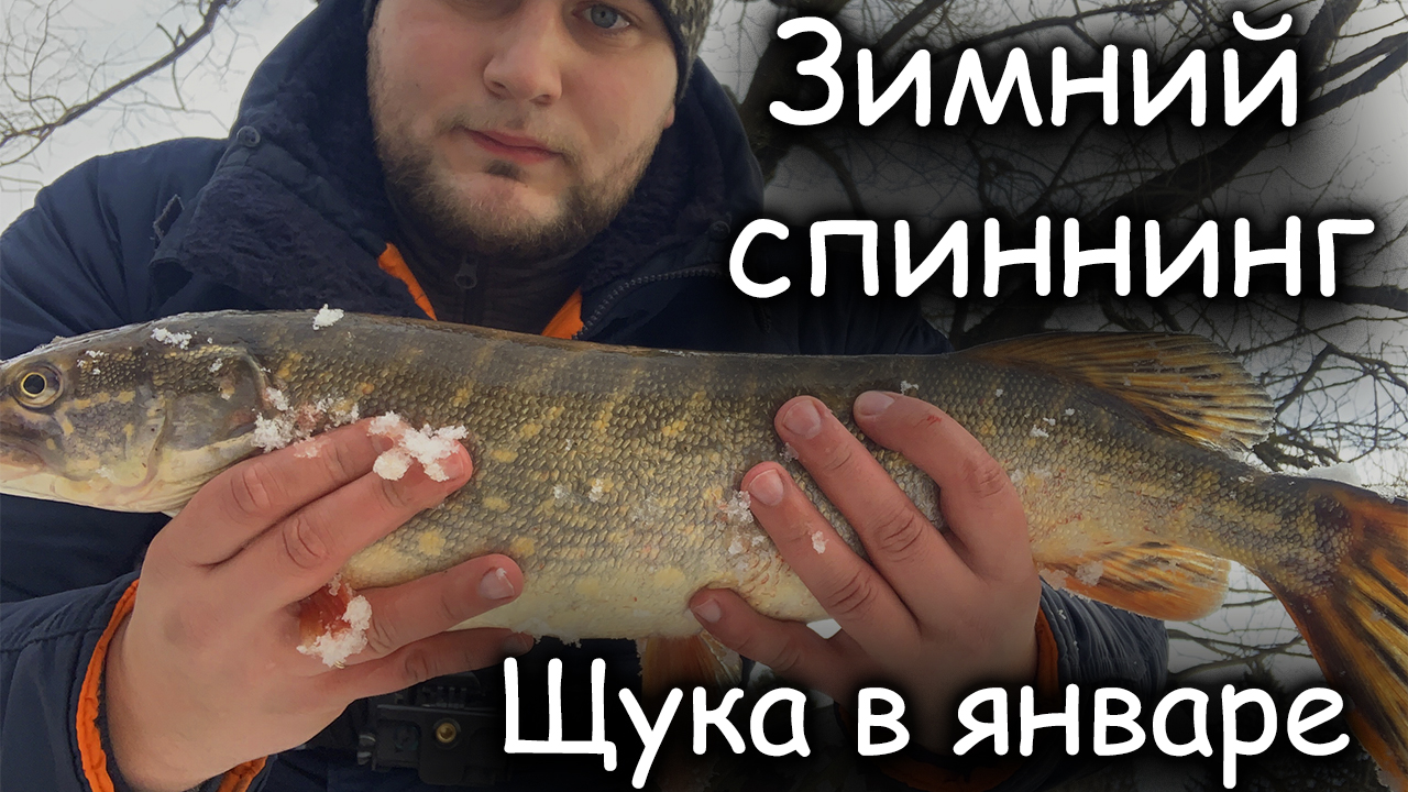 Ловля щуки зимой на спиннинг | Щука в январе смотреть онлайн