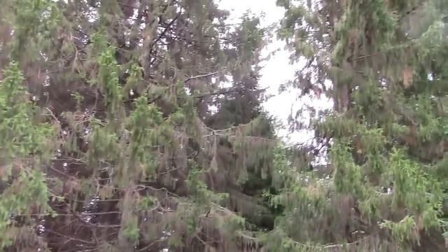 Коп с АКА Сигнум/ Рассыпушки смотреть онлайн