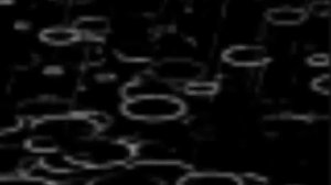 "Мой друг, художник и поэт..."/  Константин Никольский