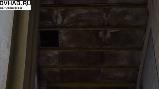 Краевой дворец единоборств " Самбо " смотреть онлайн