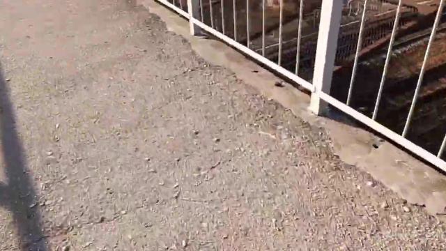 Напали собаки-исследуем жд тупик и немного жд влога смотреть онлайн