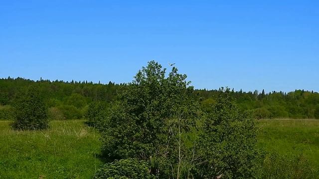 3 июня утро смотреть онлайн