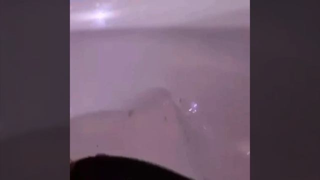 ??Трое нетрезвых мигрантов разбили два автомобиля в подмосковных Люберцах❗️?? смотреть онлайн