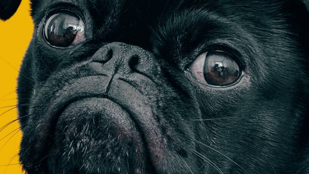 стрим по CS 2 смотреть онлайн