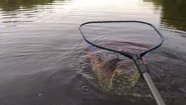 ЛЕЩ НА ДЖИГ! Мы его ДОЛОВИЛИ! смотреть онлайн