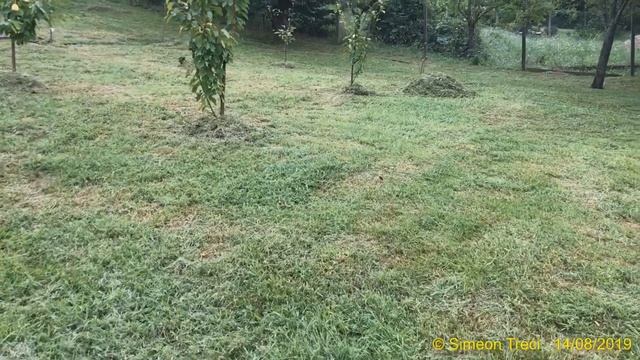 Brzi kompost od trave - za 4 nedelje - Prvi deo смотреть онлайн