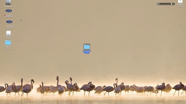 HOW TO CREATE A ZIP FILE (on a Mac) смотреть онлайн