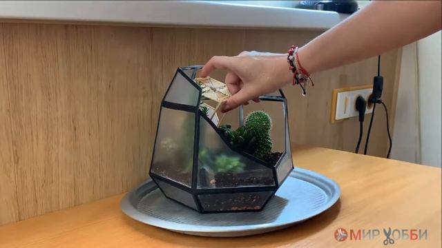 Парковая аллея. Флорариум для кактусов и суккулентов смотреть онлайн