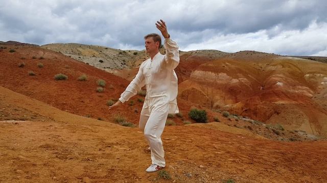 42 Forms Taijiquan. Part 2. 42 формы тайцзицюань - часть 2