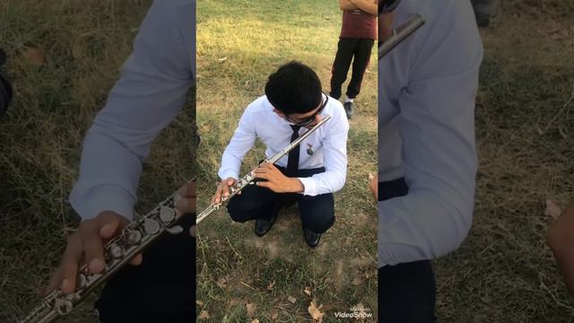 Музыка на флейта смотреть онлайн