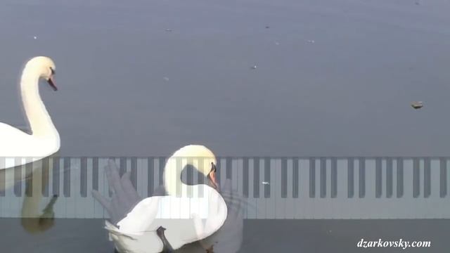 И.Тальков - Чистые пруды пианино кавер смотреть онлайн