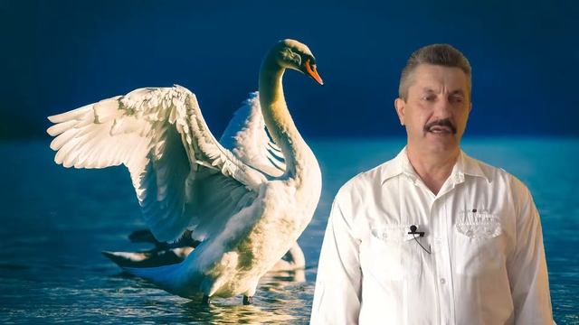 Стихотворение "Лебедушка" смотреть онлайн