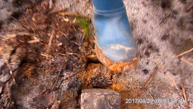 Sadzenie sosny z nieco innej perspektywy смотреть онлайн