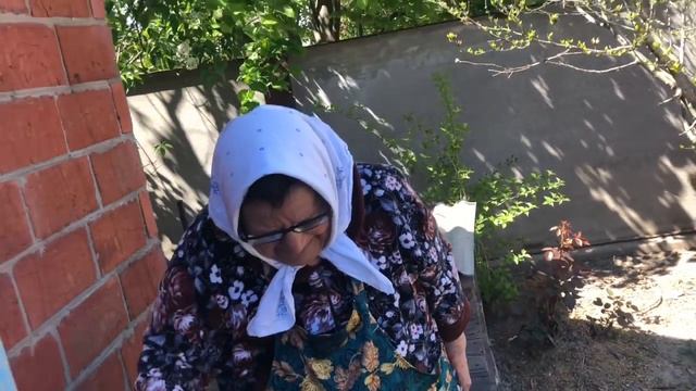 Французский бульдог Марсик готовится восПапывать Рудика смотреть онлайн